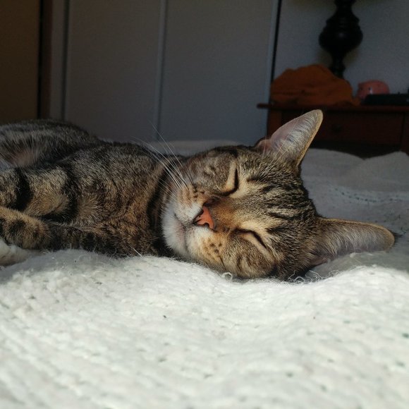 Meet your Posher, Geena - Picture 1 of 3
